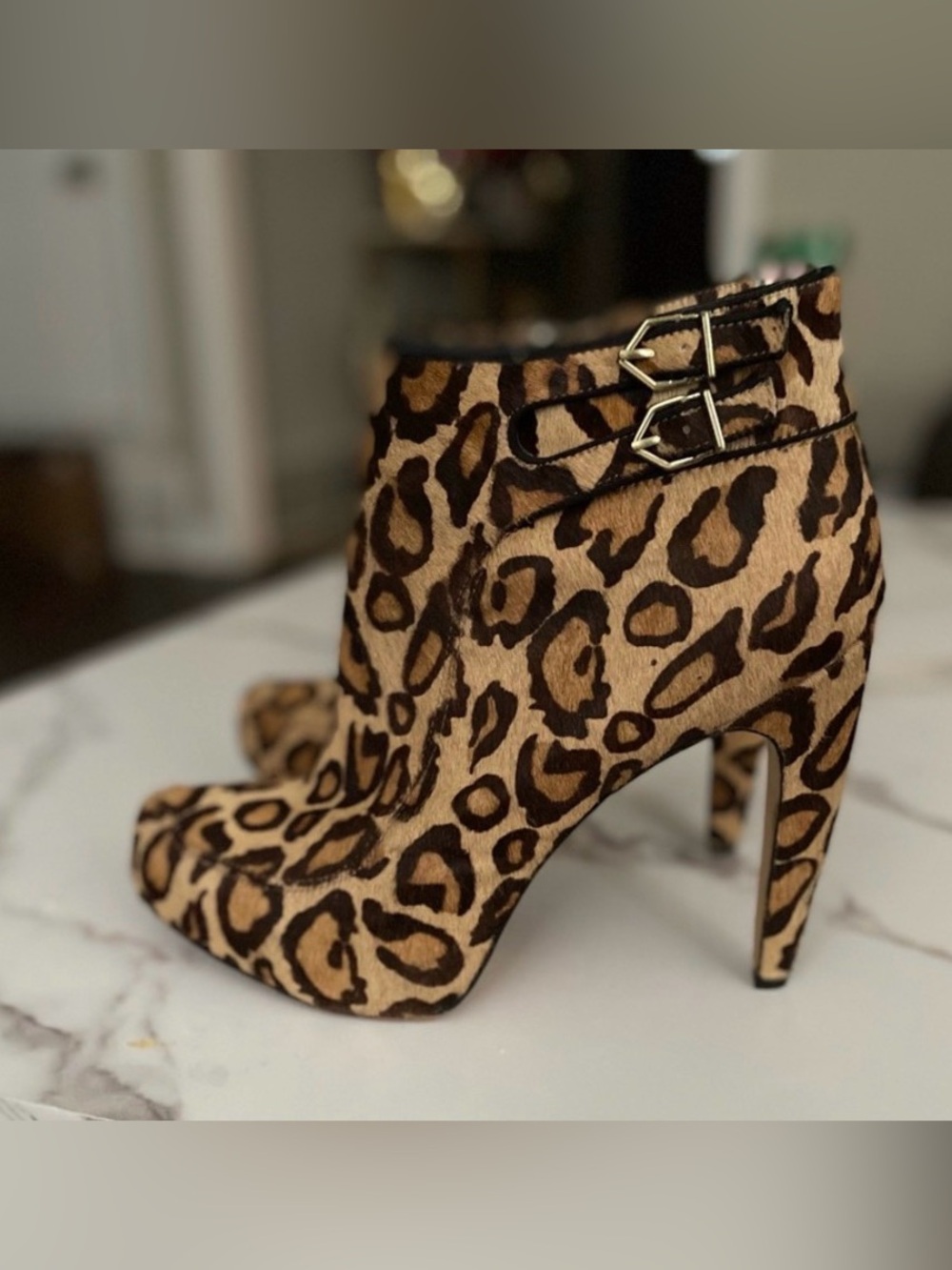 Sam Edelman Leopard Print Ankle Booties in Tan and Black